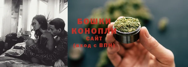 хмурый Абаза