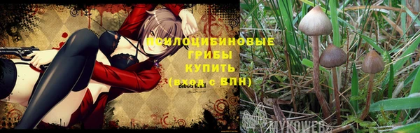 COCAINE Абинск