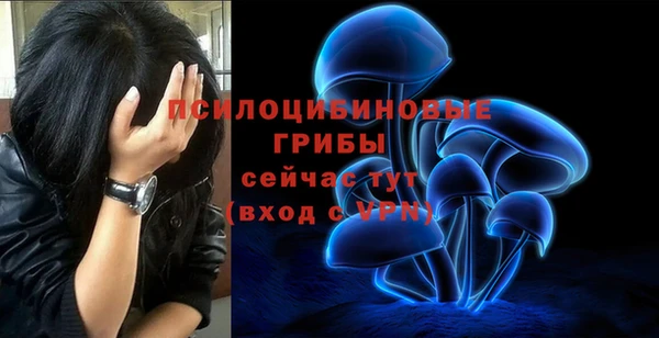 PSILOCYBIN Сатка