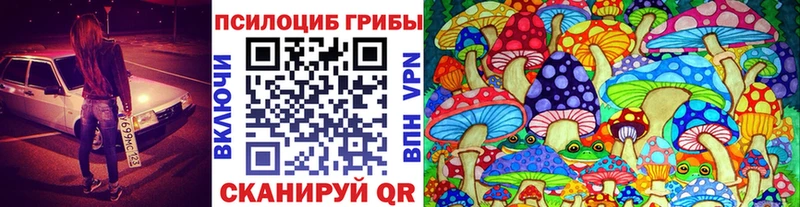 Галлюциногенные грибы Magic Shrooms  Карталы 