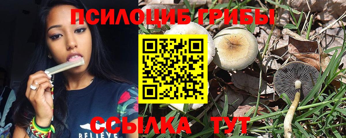Карталы  Галлюциногенные грибы Psilocybine cubensis  Вход с VPN  Галлюциногенные грибы Psilocybine cubensis 